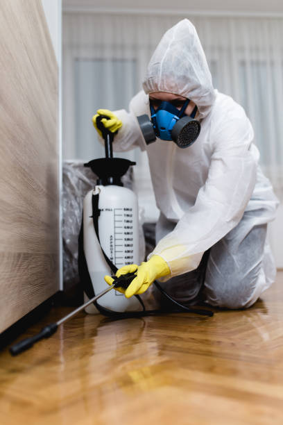 Best Fumigation Services  in West Odessa, TX